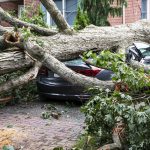 Tree lands on car during storm on Long Island