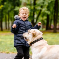 the-child-is-afraid-of-the-dog the-child-is-afraid-of-the-dog
